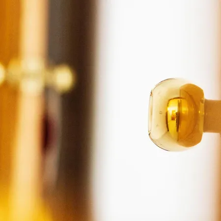 Gæstehus Barqueiras15